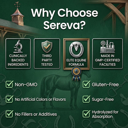 Sereva™ Equine Mud Fever & Scratches Relief